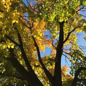 Meet your Posher, Jayden